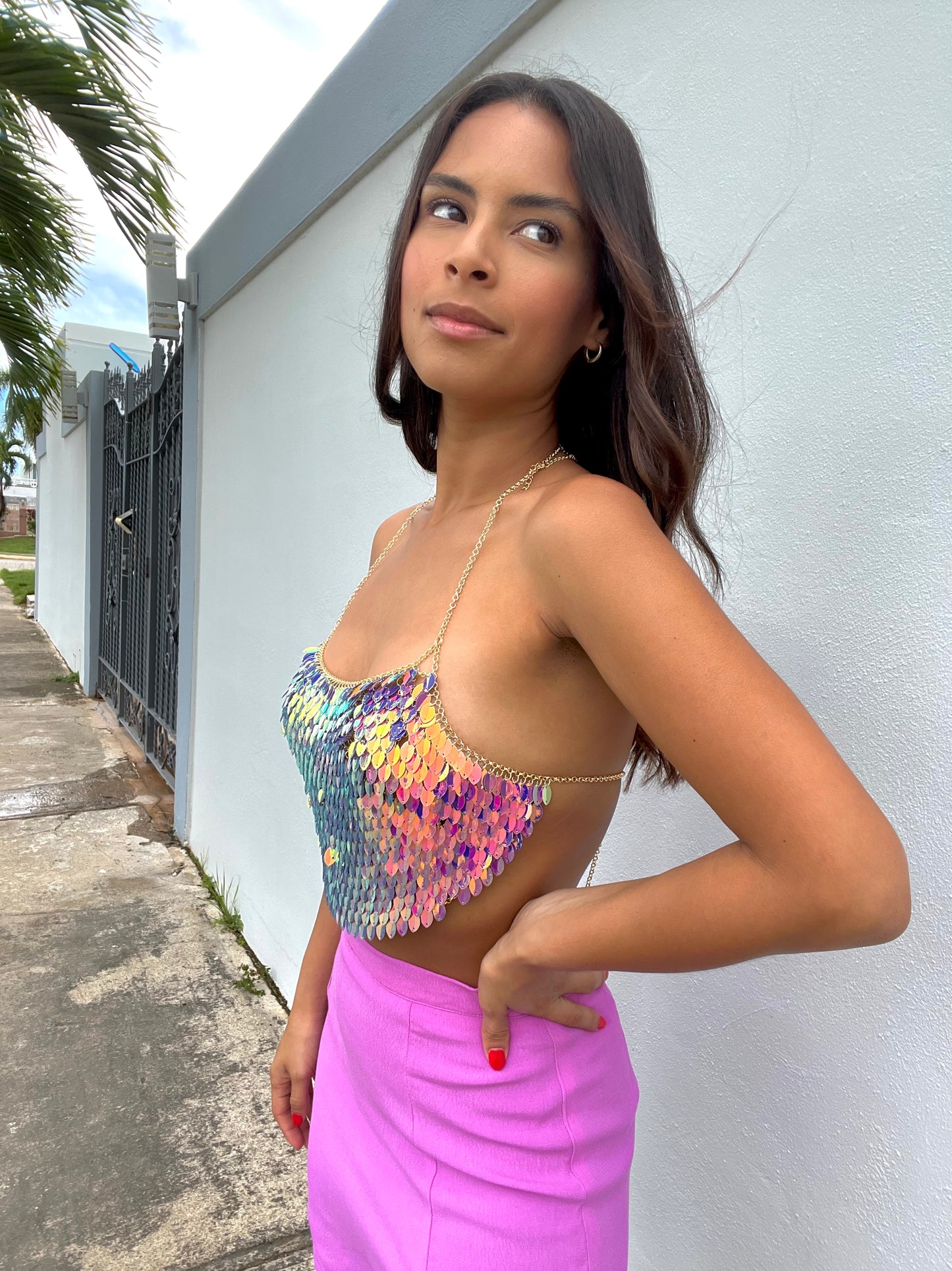 PURPLE CHAINS CROP