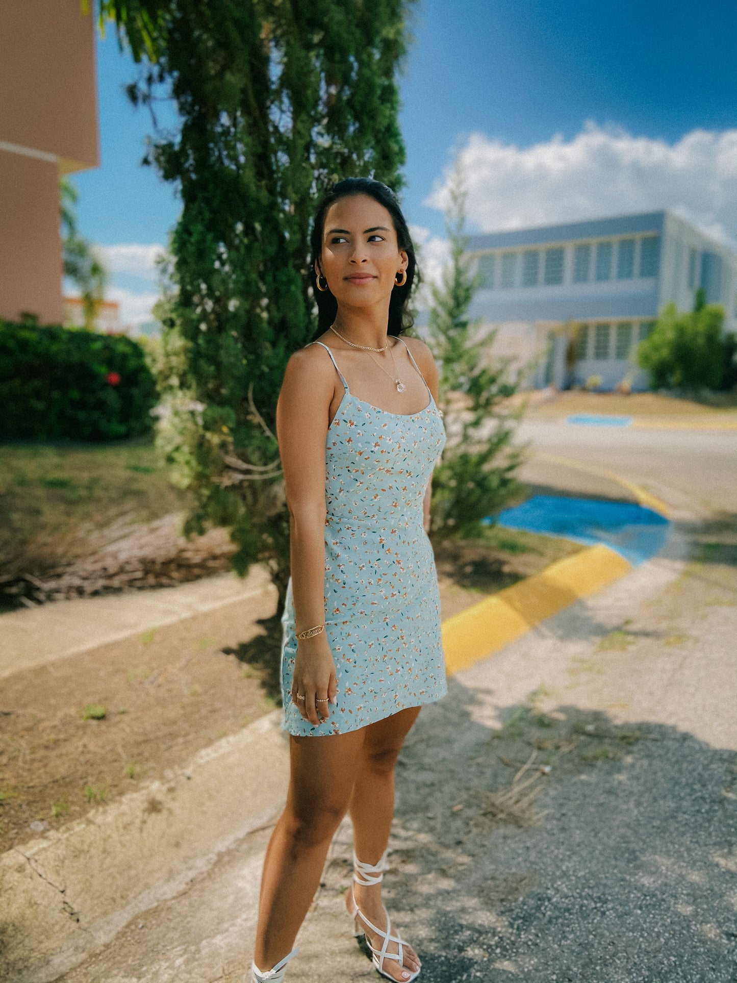 Andalusia Mini Dress