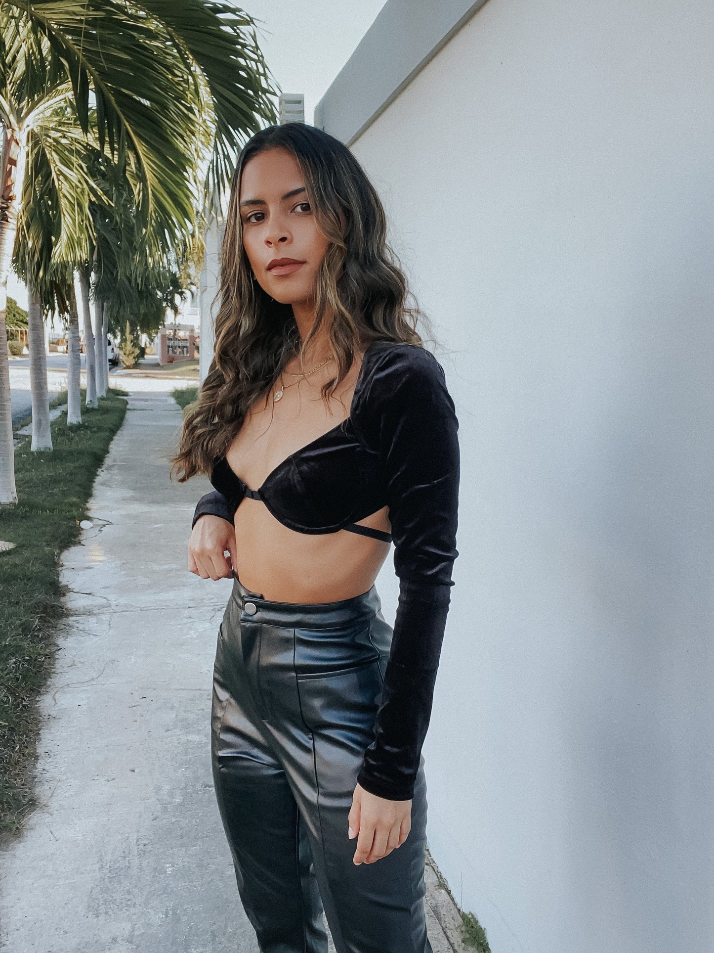 VELVET BUSTIER TOP